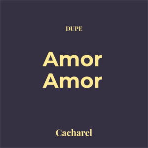 Dupe Amor Amor
