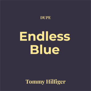 Dupe Tommy Endless Blue